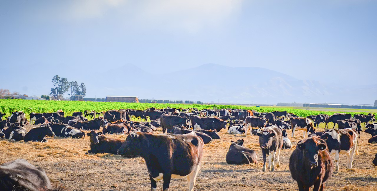 Agworld