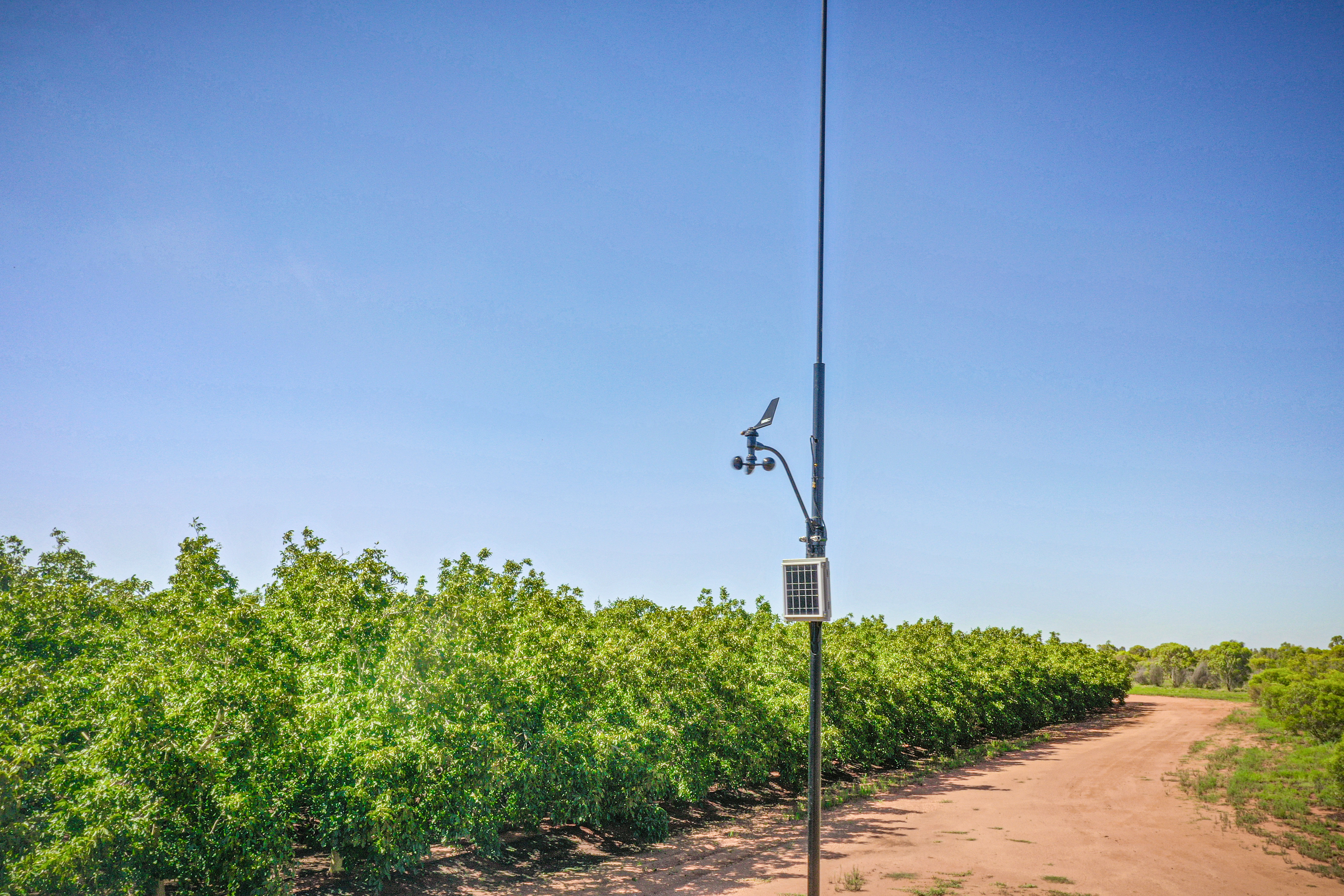 Climate Monitoring