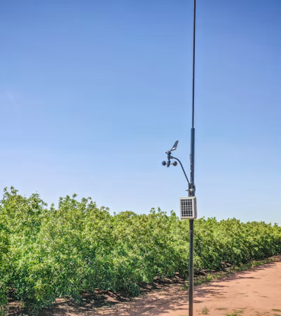 Climate Monitoring
