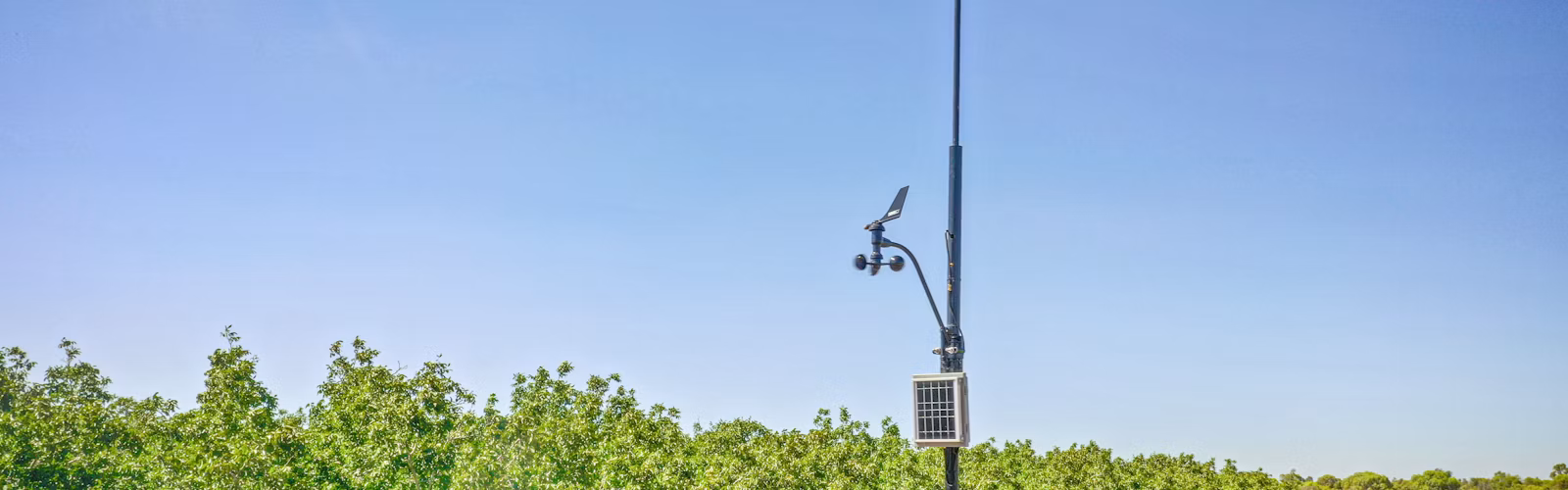 A weather station in an orchard