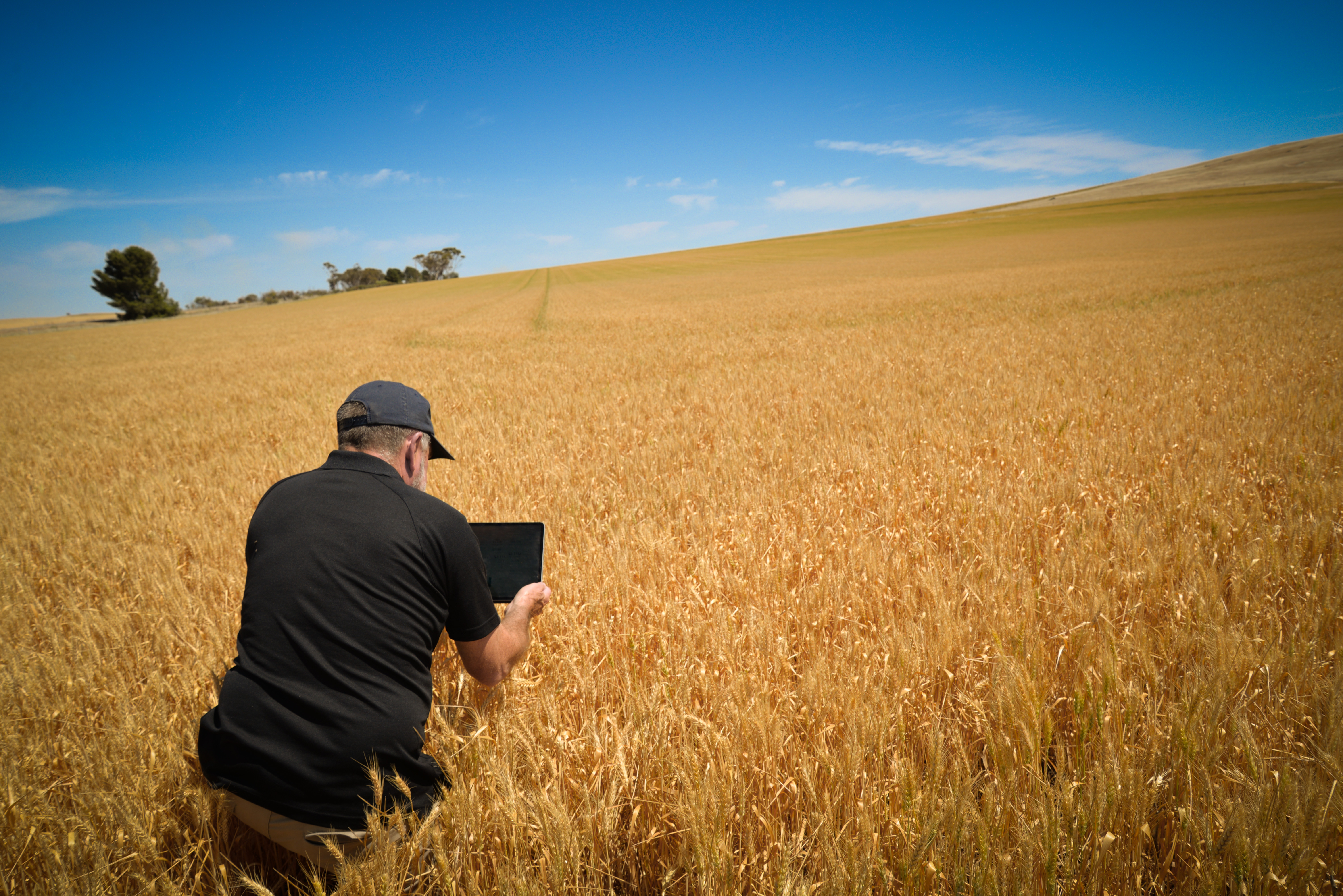 2020 - When being Paperless matters