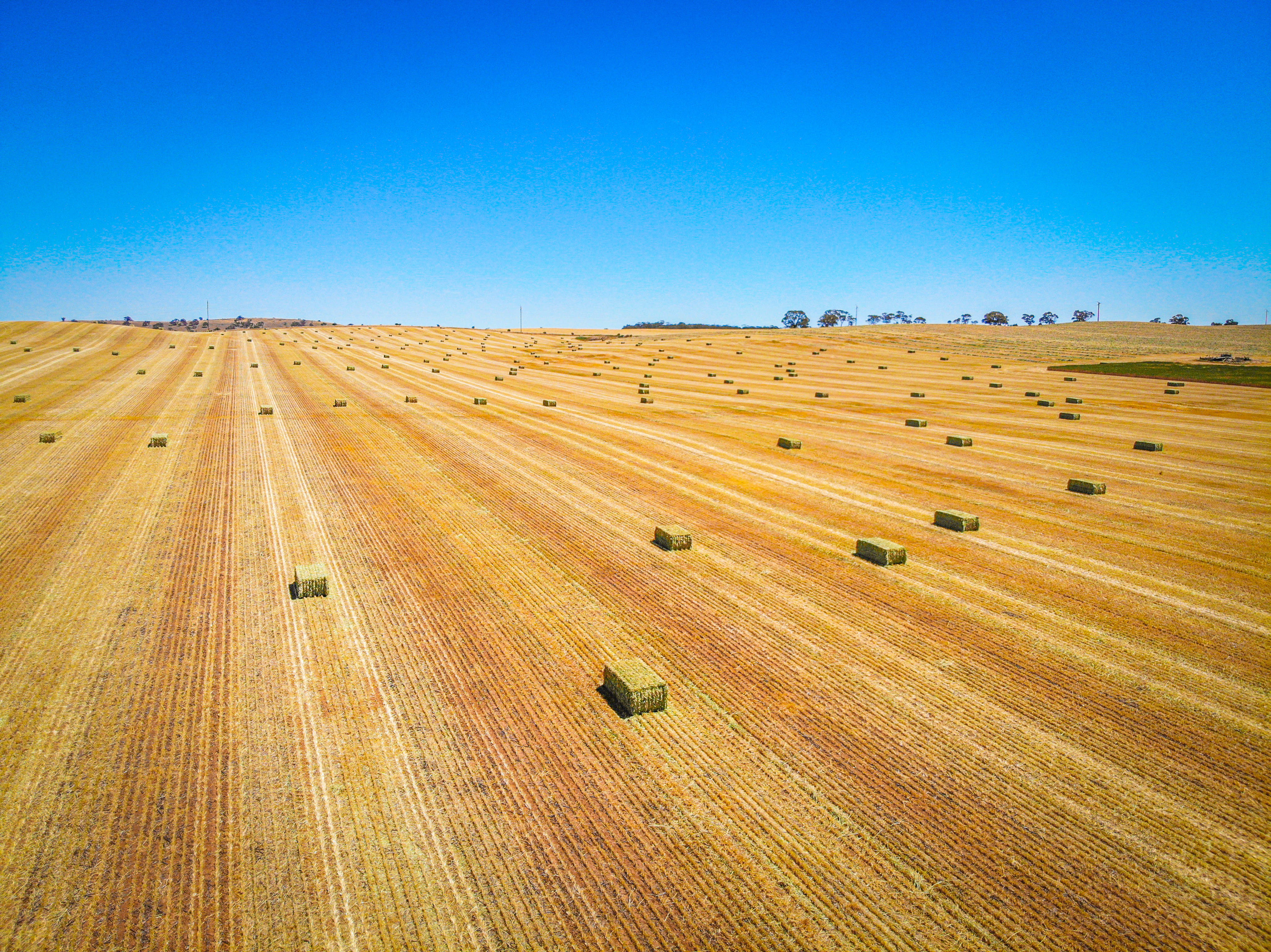 Agworld