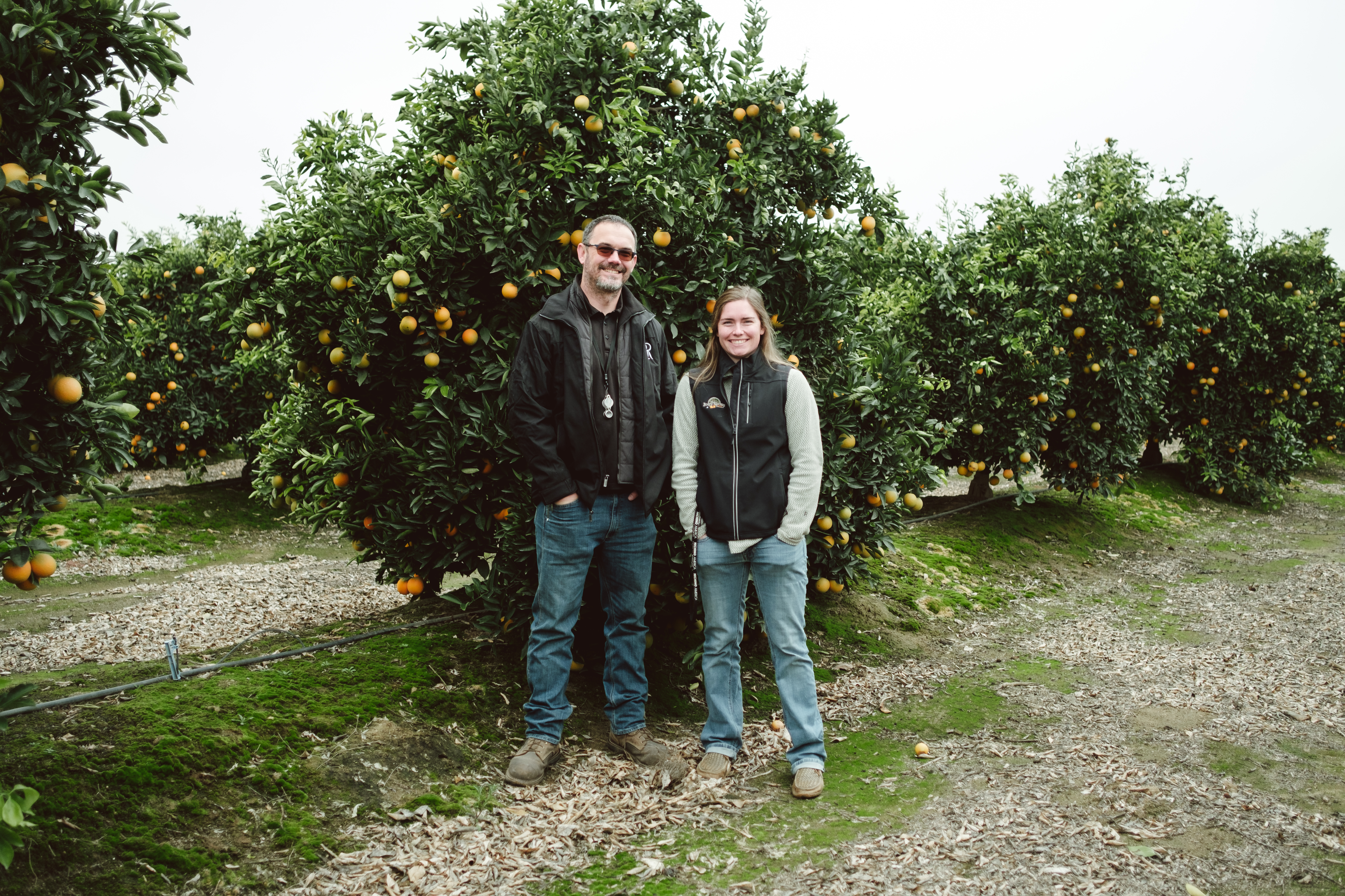 Agtech advice