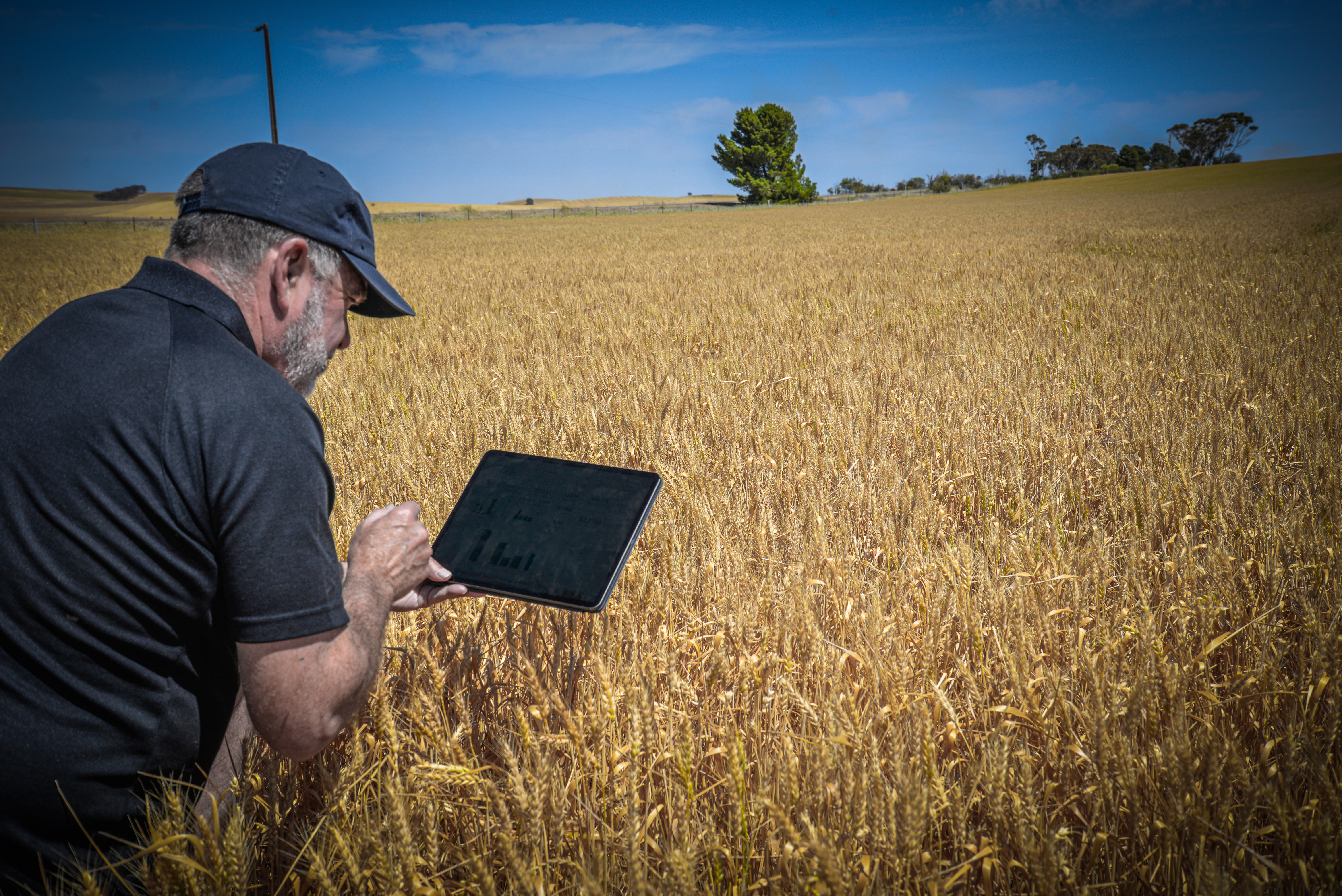 Agworld Now Available on Microsoft AppSource