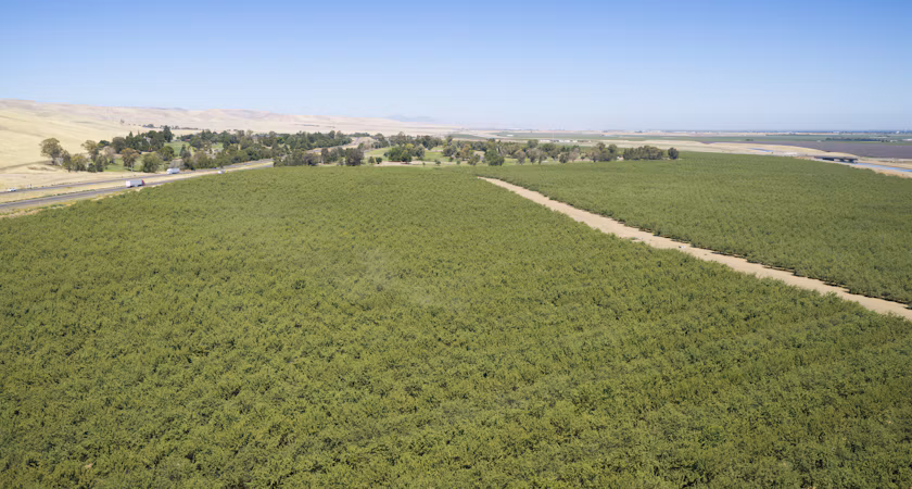 Building a different kind of agricultural technology company