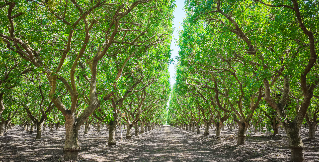 Building a different kind of agricultural technology company
