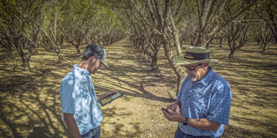 Four solutions, one goal: helping California growers and PCAs work smarter