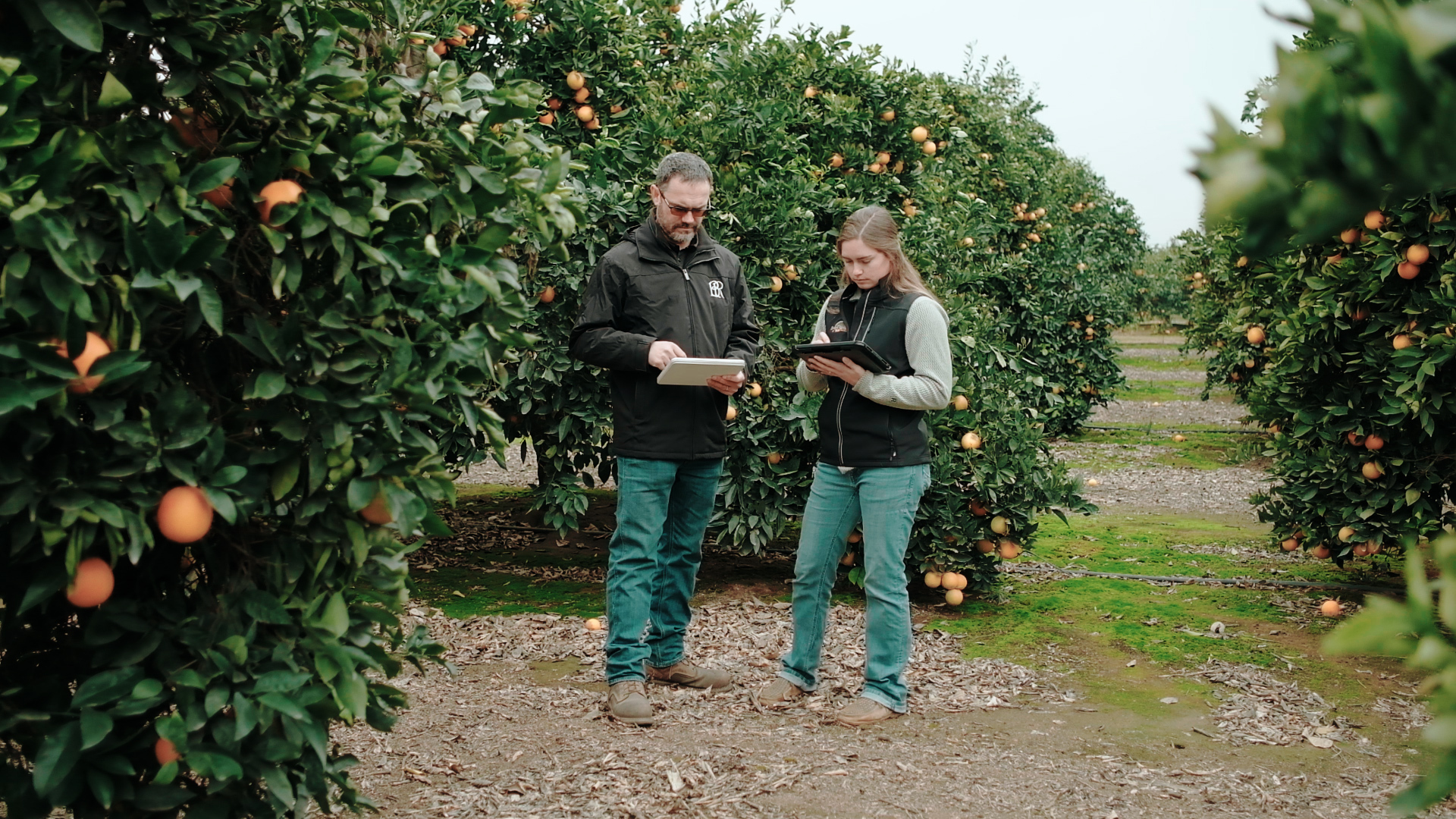 Agworld