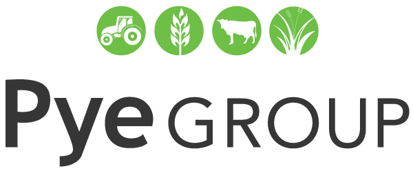 Pye Group