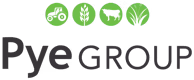 Pye Group logo