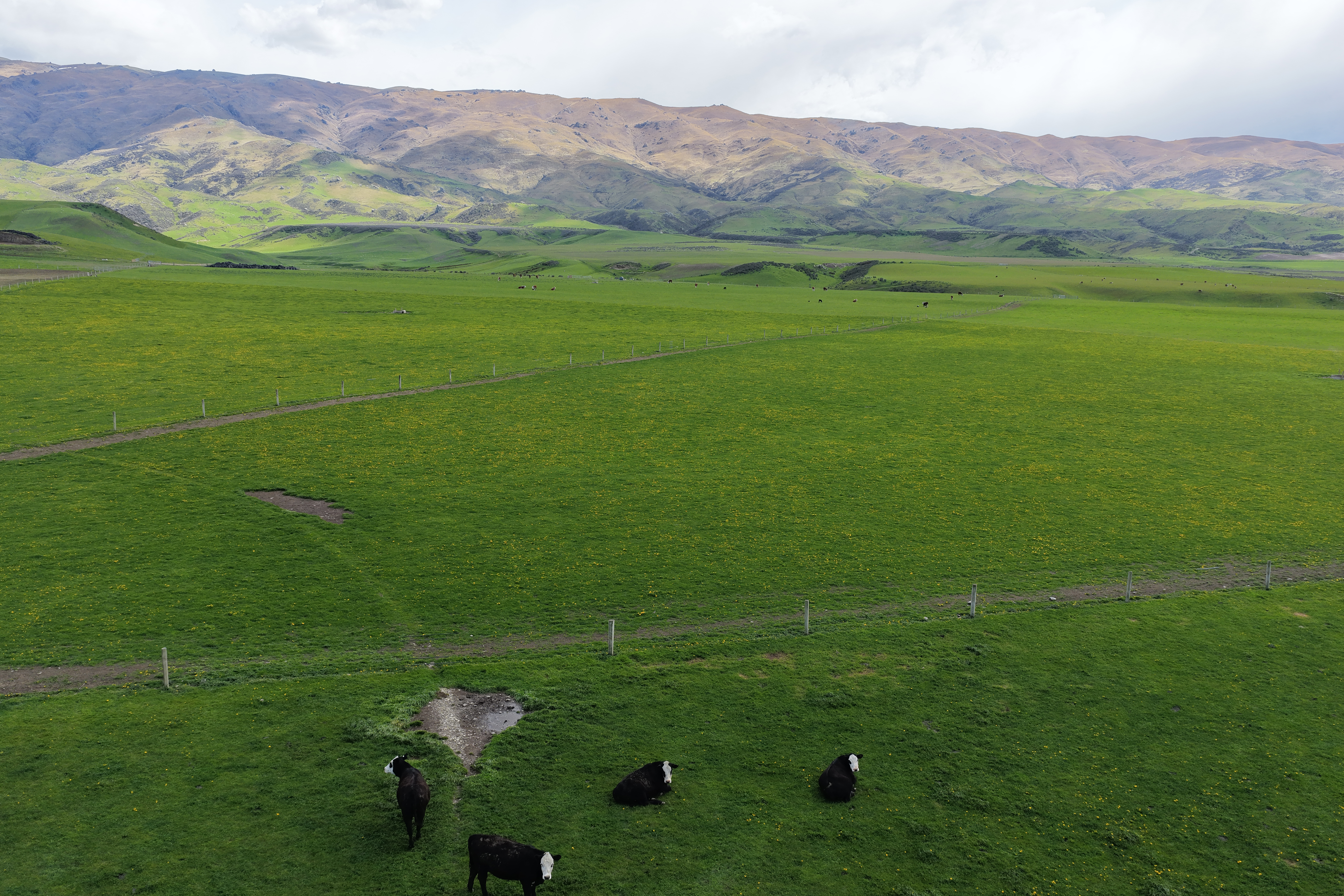 Agworld