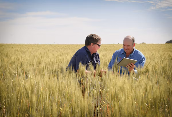 Agworld growers checking their data