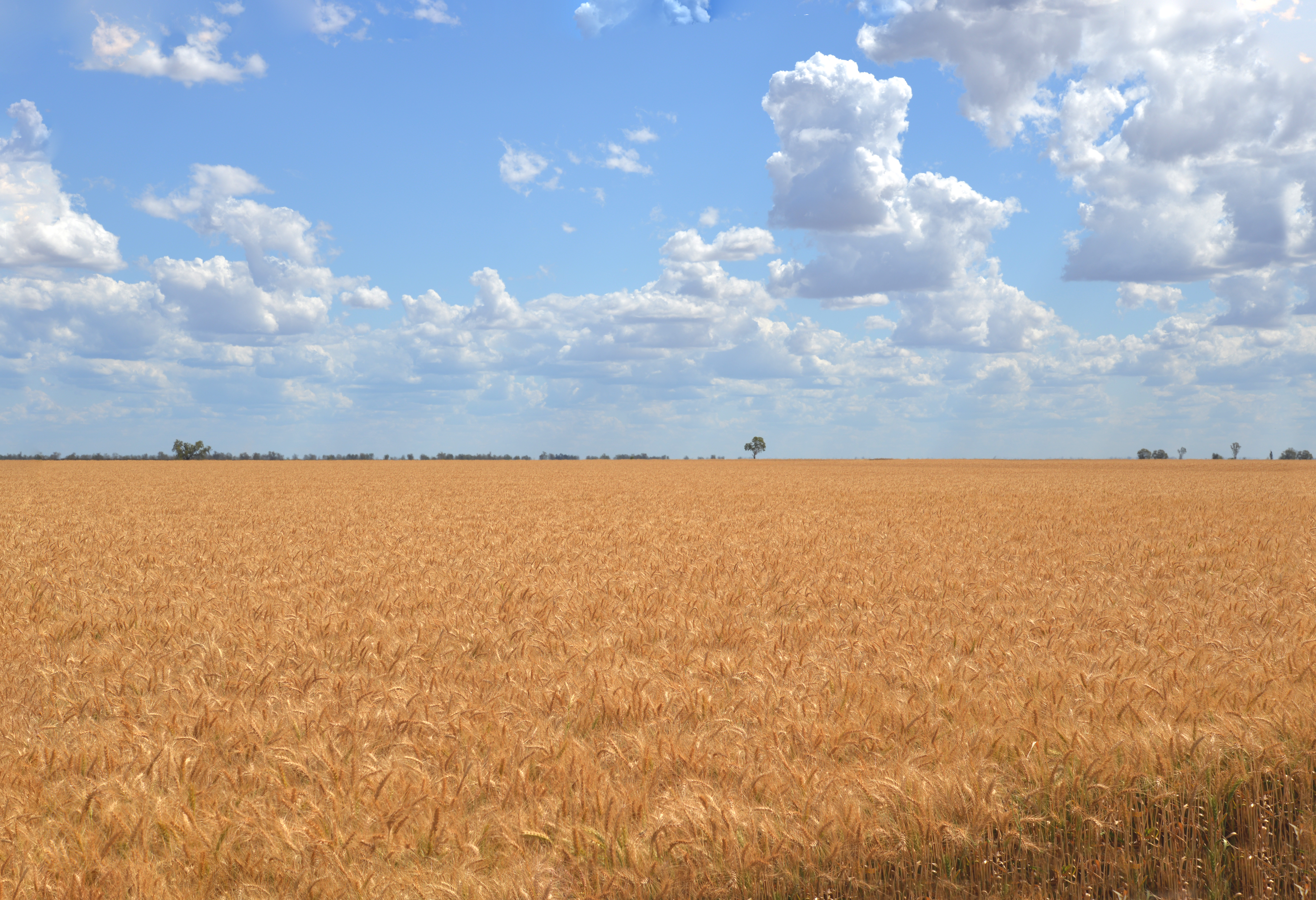 Agworld