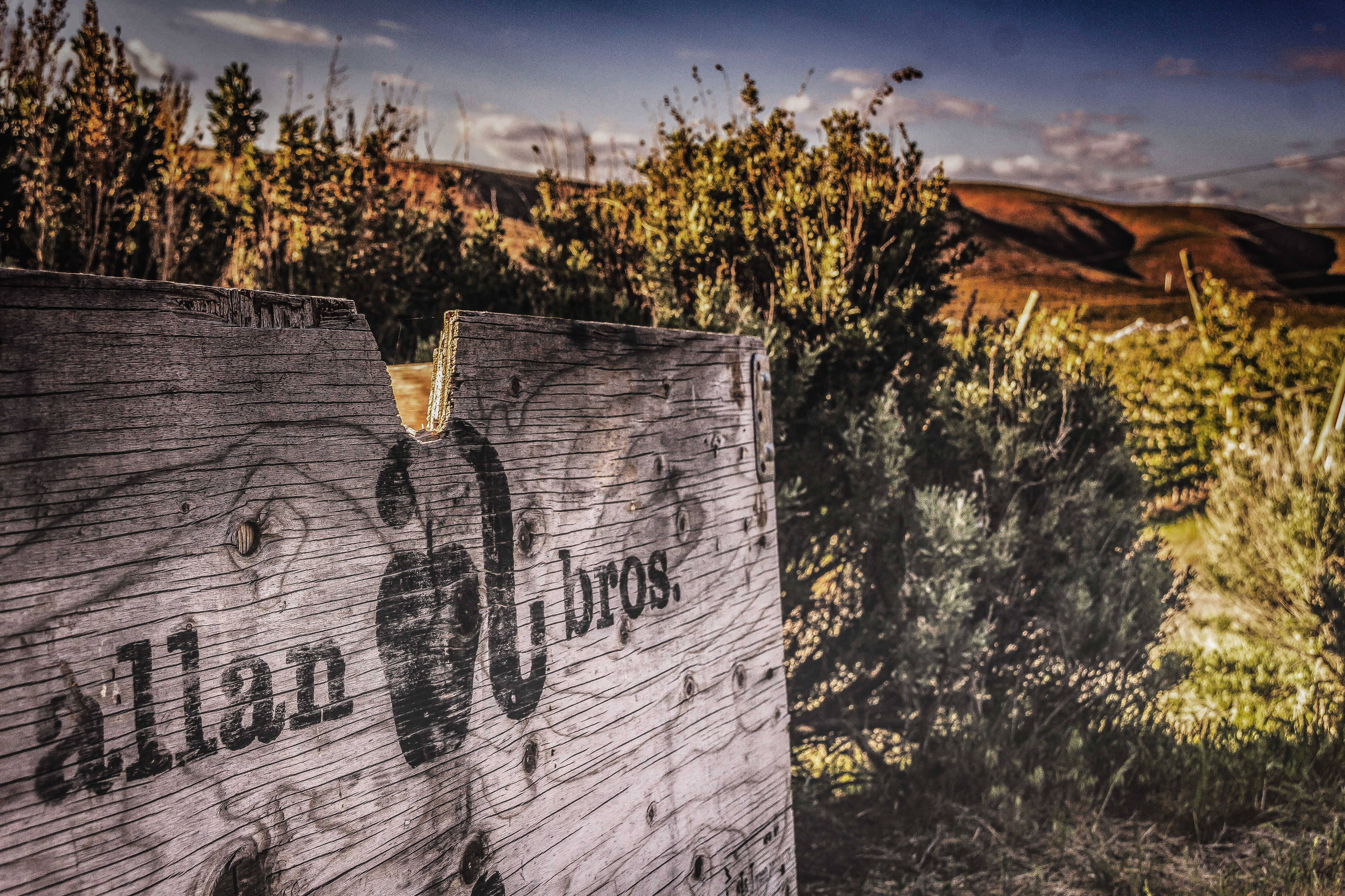Managing a large fruit orchard operation in the Pacific Northwest