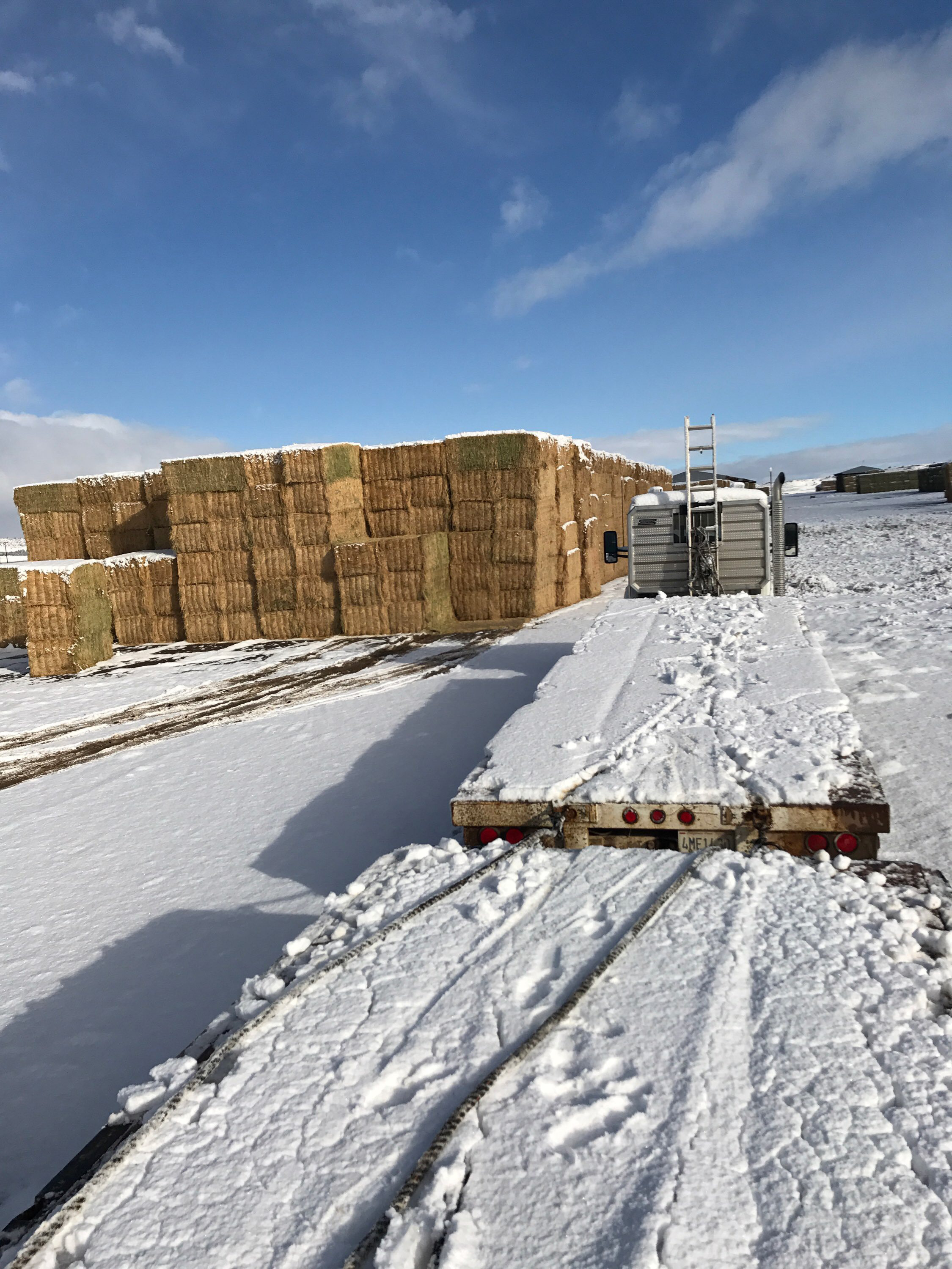 Agworld
