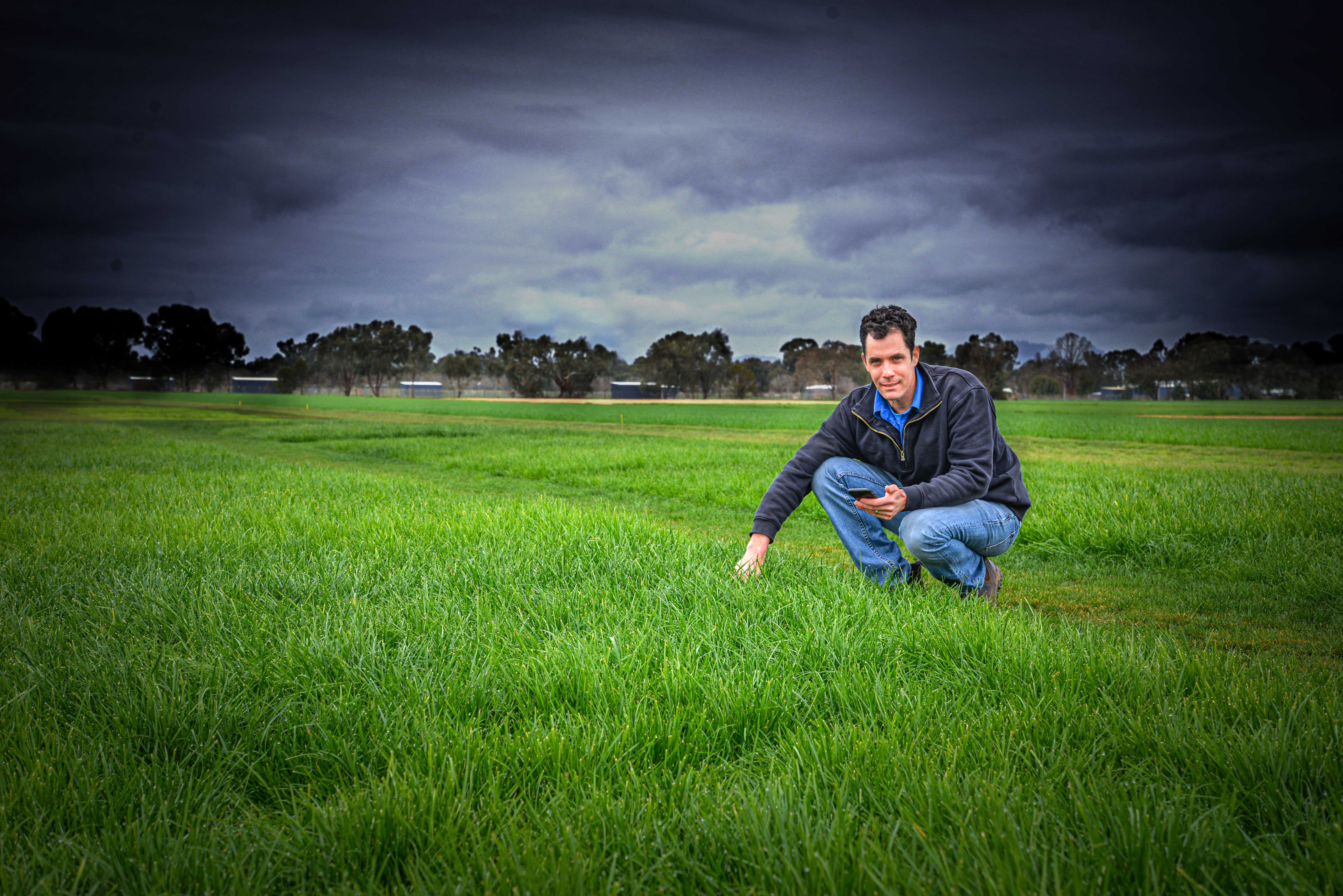 Managing data in grass seed production