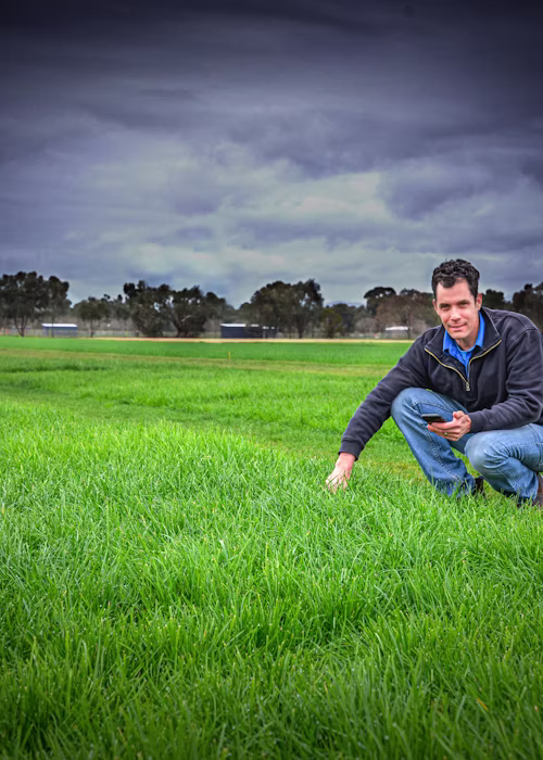 Managing data in grass seed production