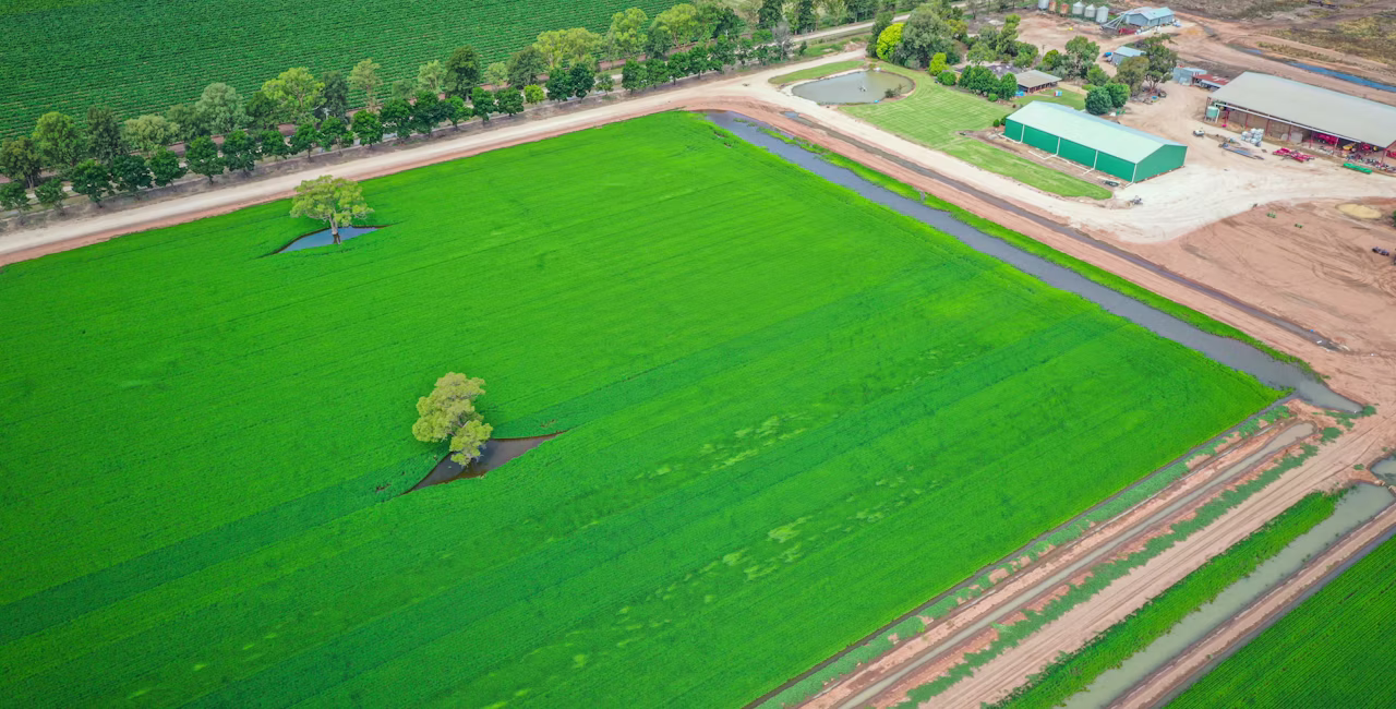 Agworld