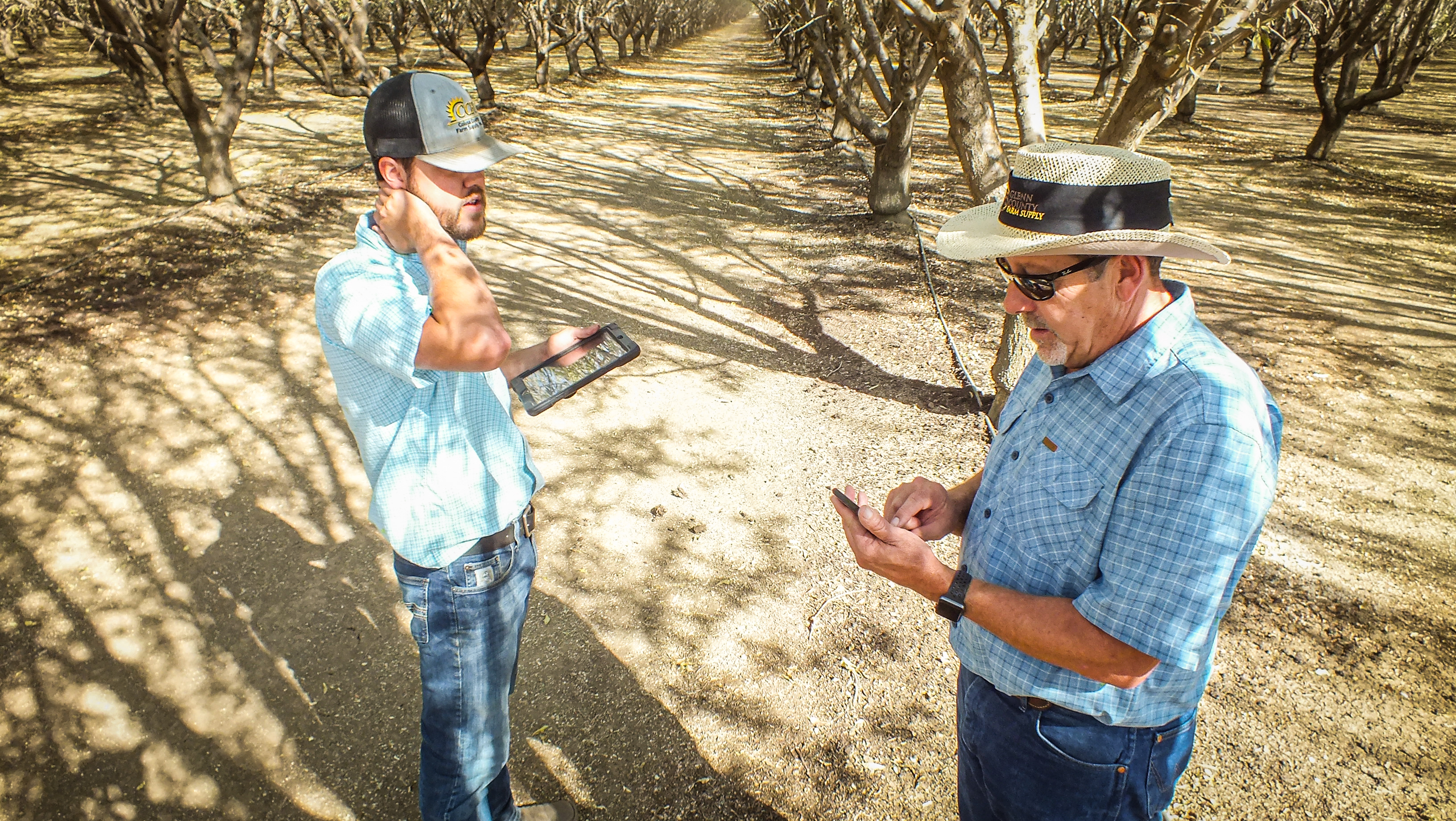 Simplifying Nitrogen Management Planning