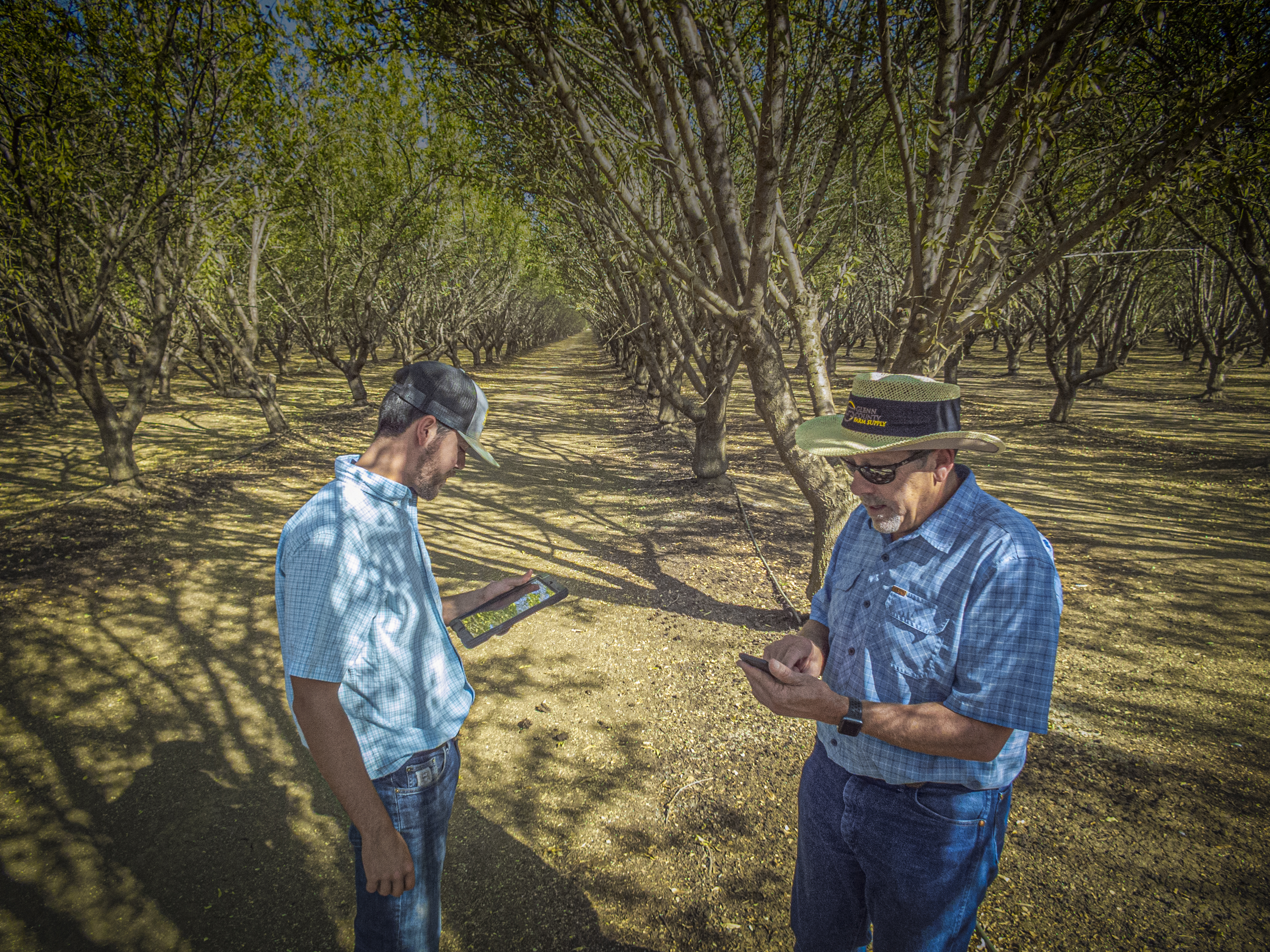 Simplifying fertility management