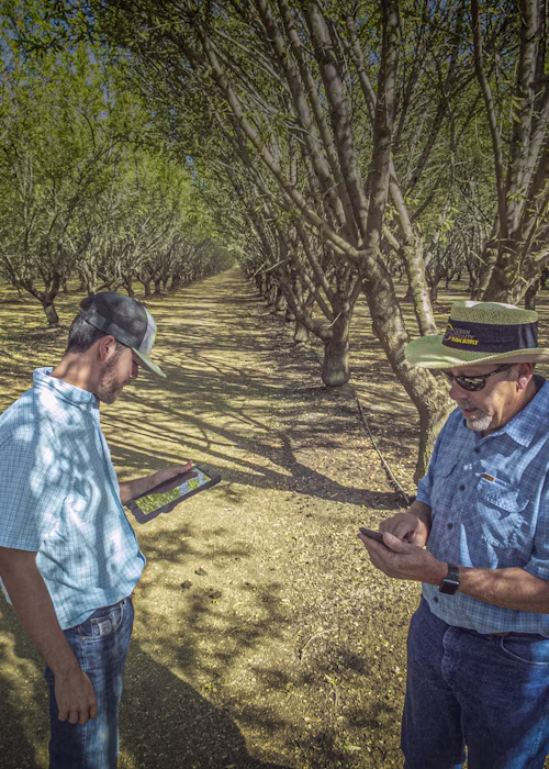 Simplifying fertility management