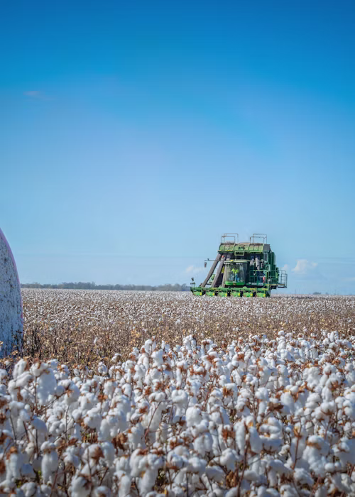 Driving agtech adoption in central Queensland