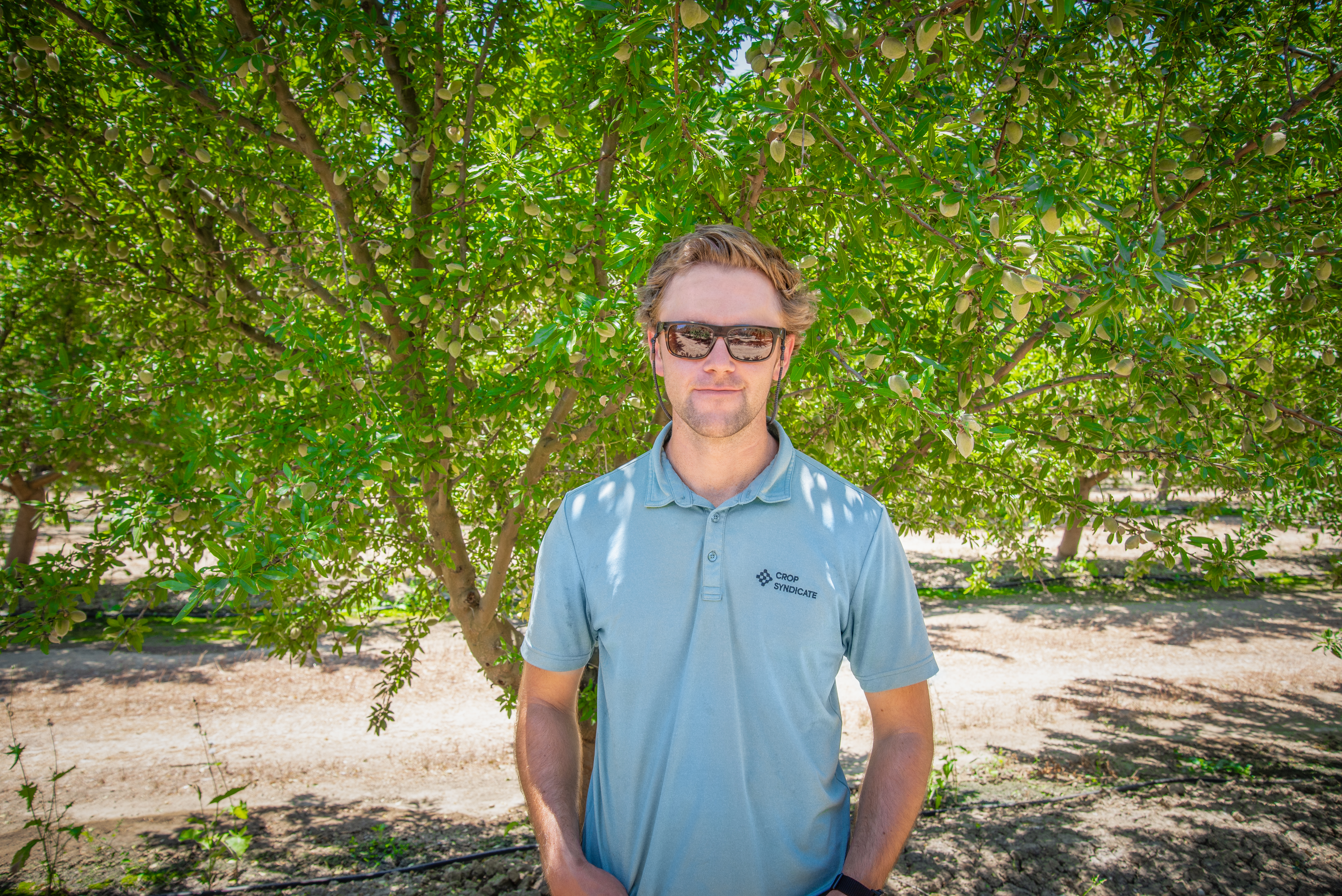 Driving down costs through budget-focused agronomy