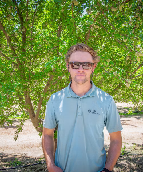 Driving down costs through budget-focused agronomy
