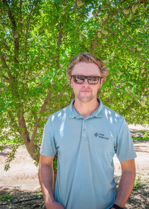 Driving down costs through budget-focused agronomy