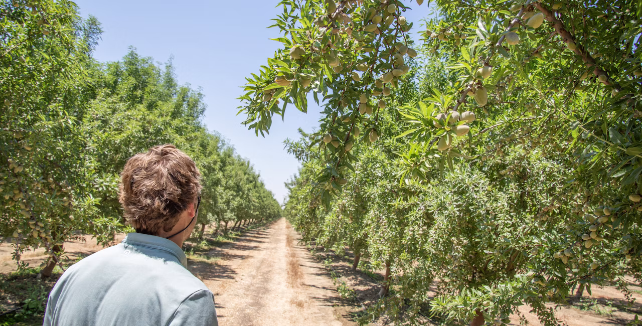 The next agricultural revolution will be driven by better decisions