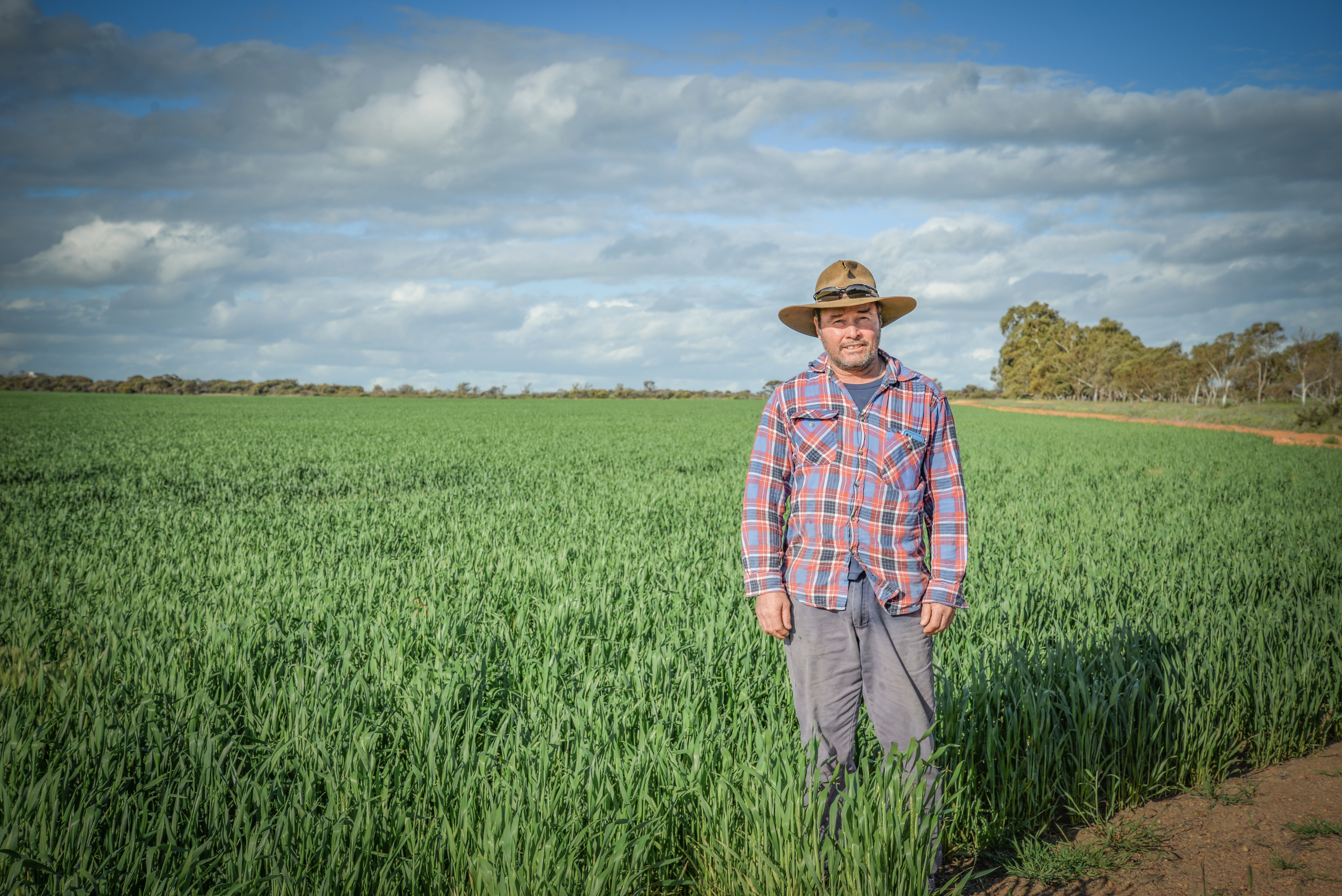 Information is key, from planning to harvest