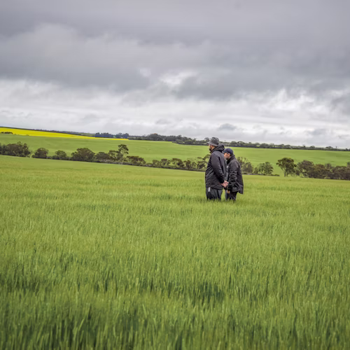 Agronomic planning