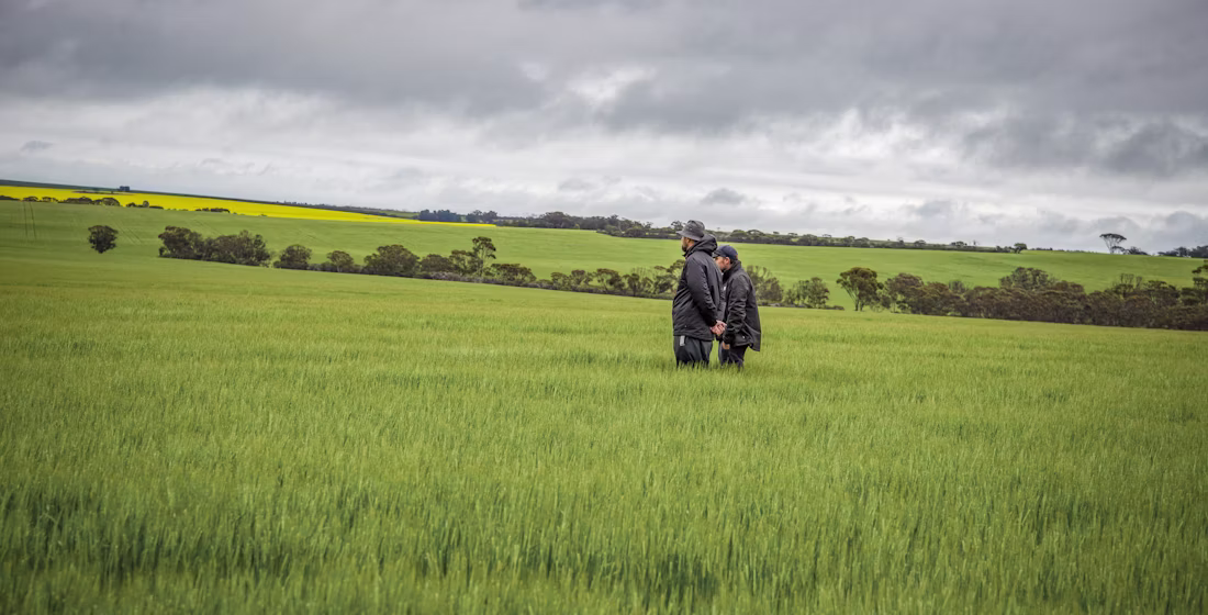 Optimising fertiliser rates through trials
