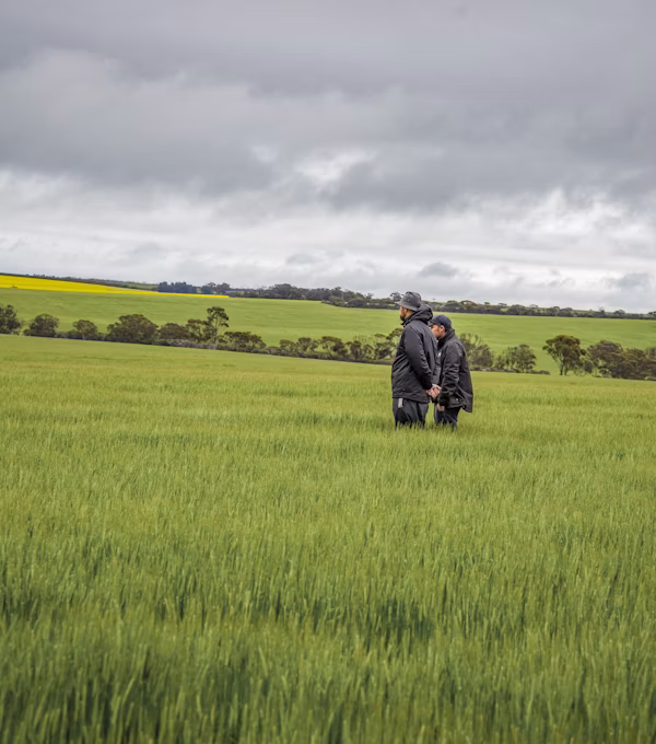 Agronomic planning