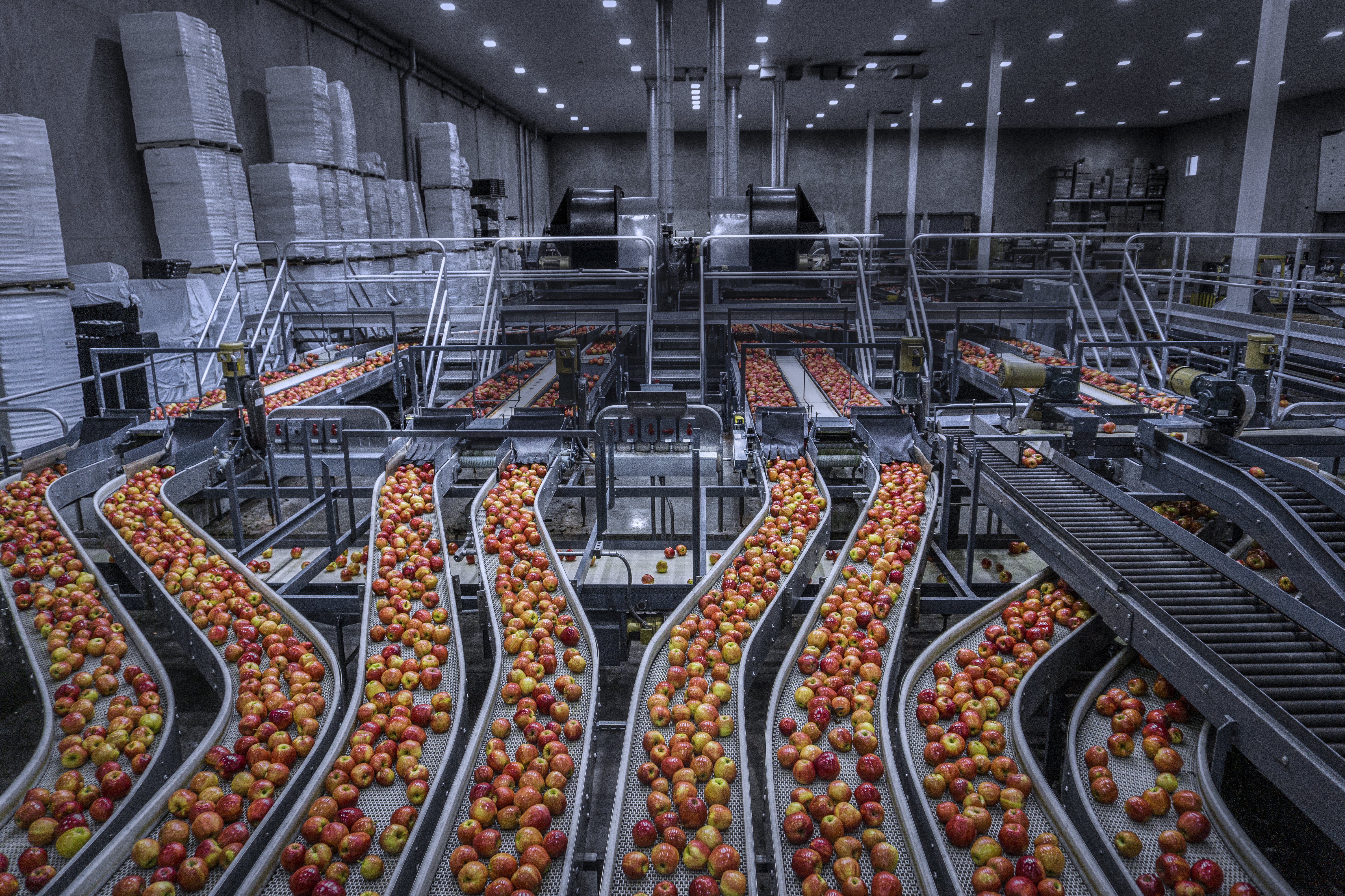 Digitizing and Automating Fruit Orchards to improve results