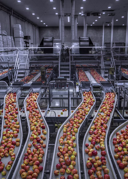 Digitizing and Automating Fruit Orchards to improve results