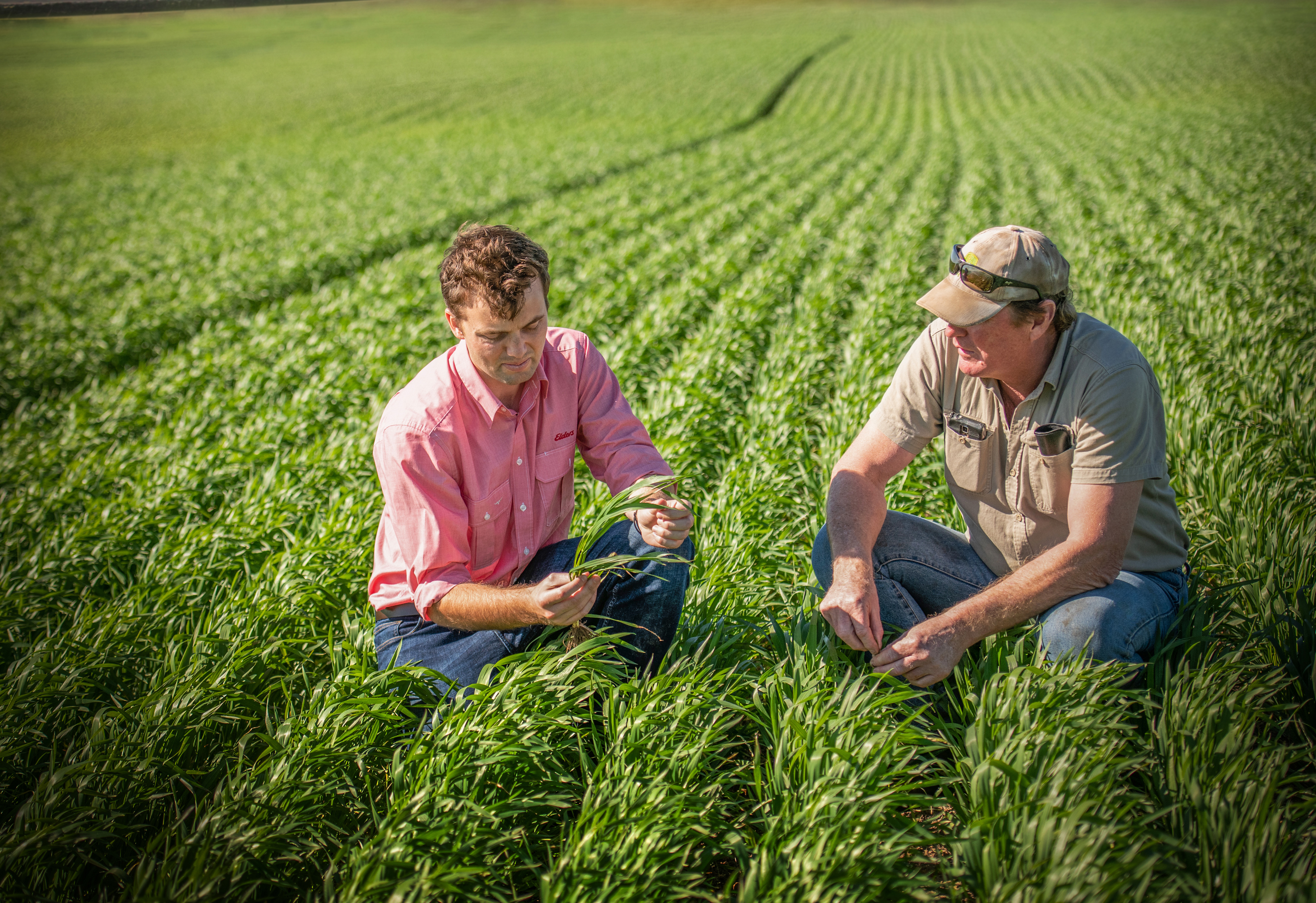 Supporting growers with technology