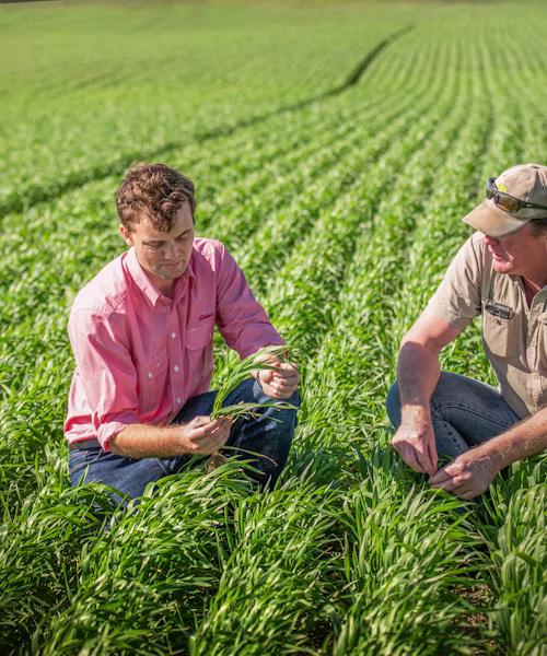 Supporting growers with technology