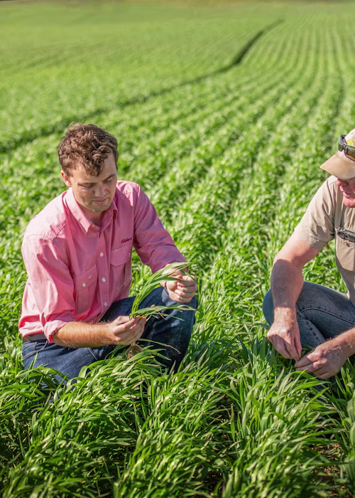 Supporting growers with technology