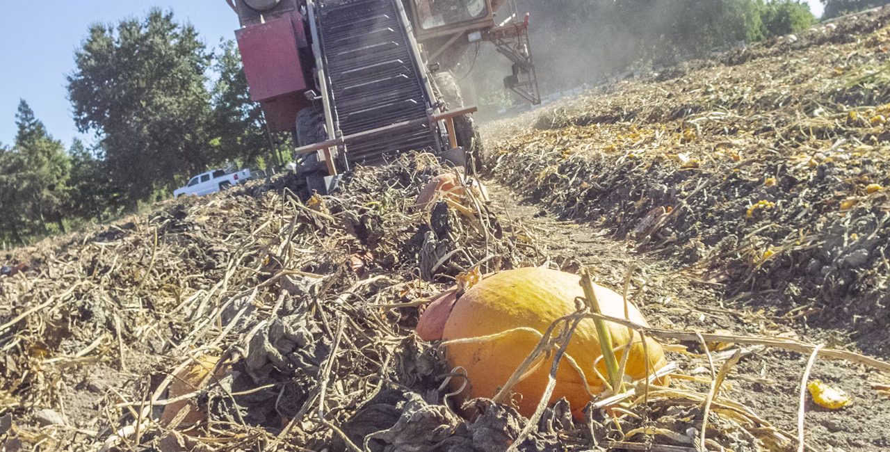 Agworld