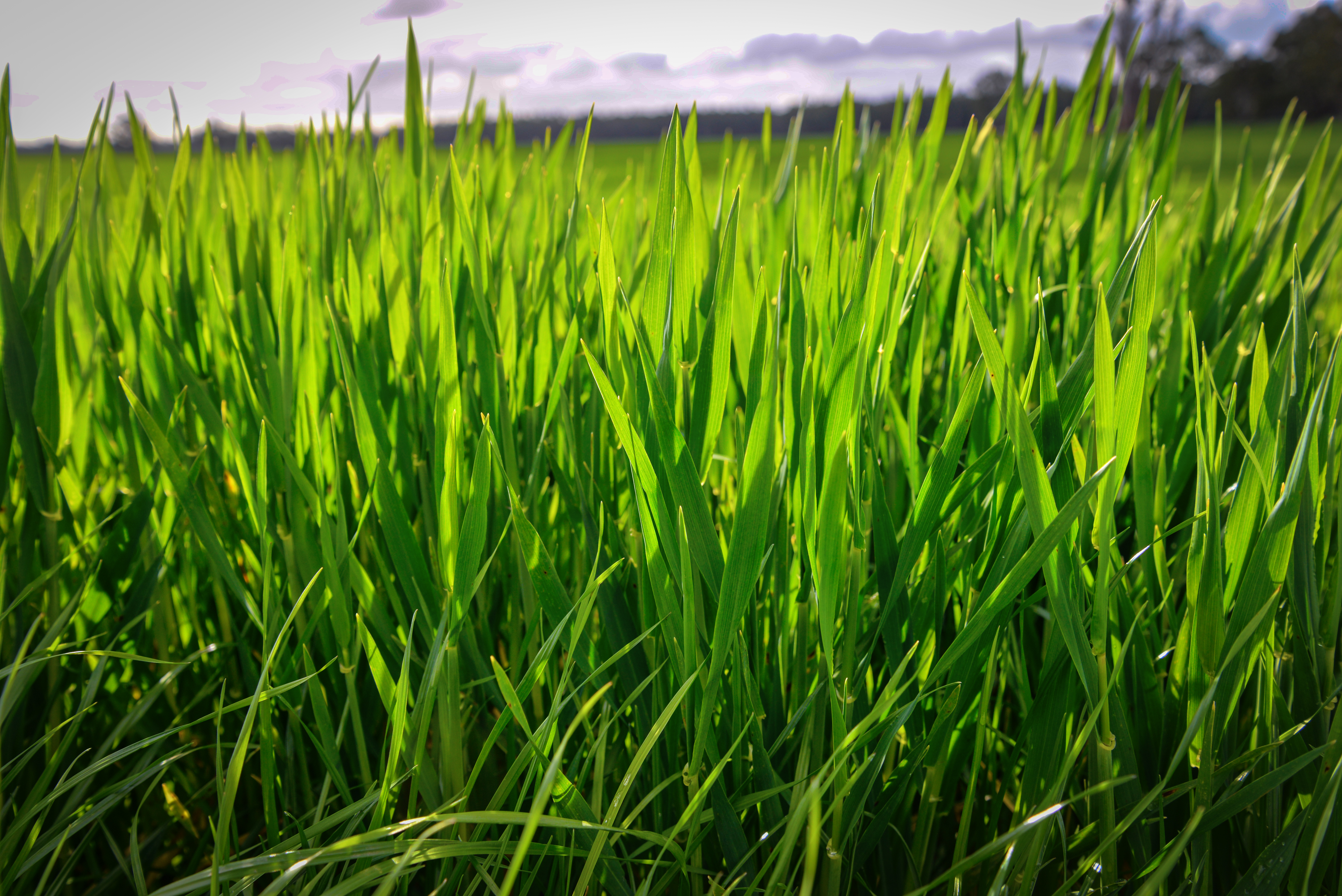 Agworld