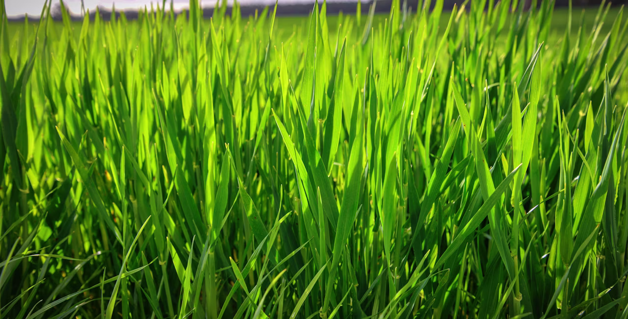 Agworld