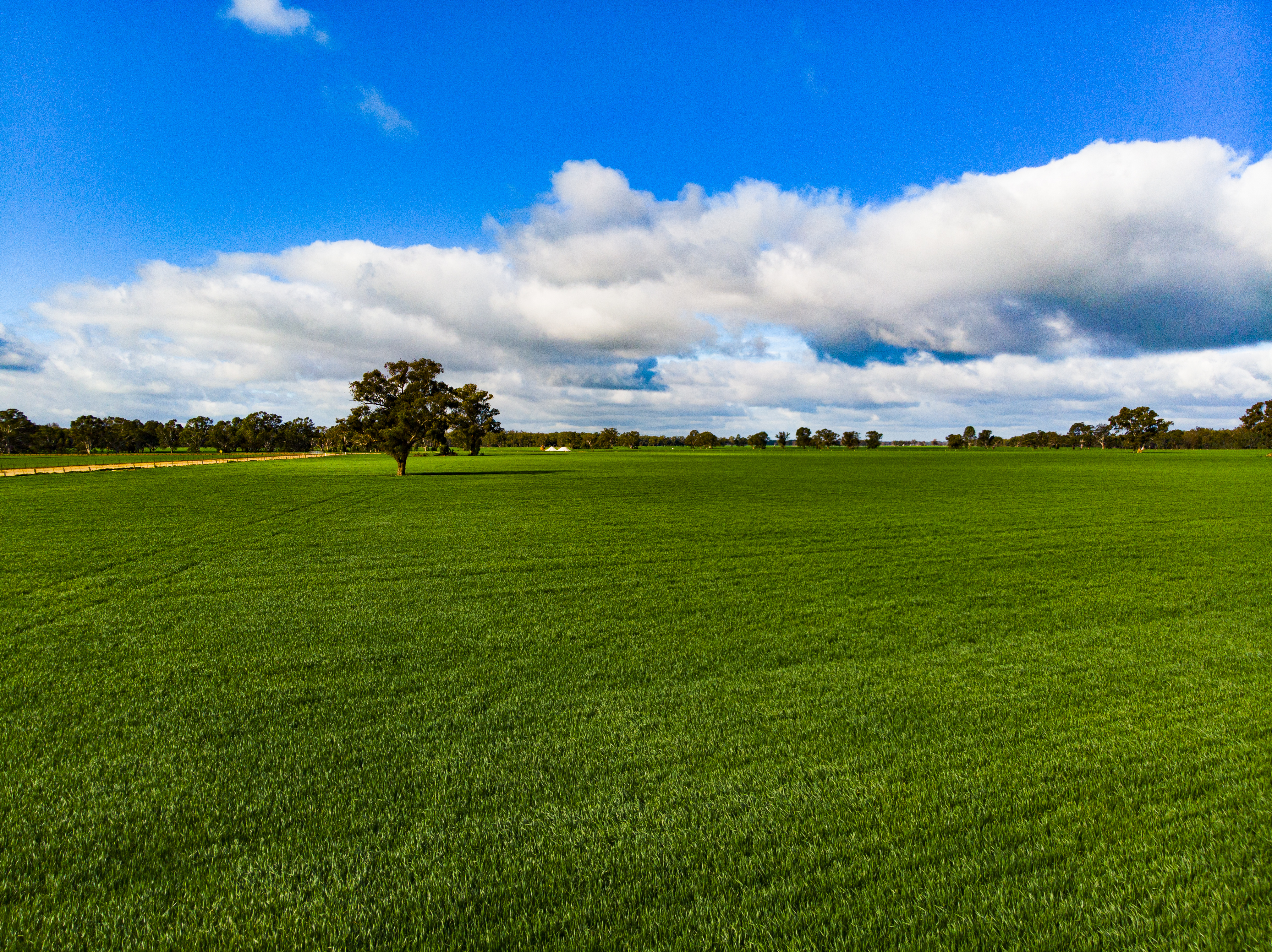 Agworld and Laconik integrate product offerings