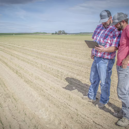 Agronomic planning