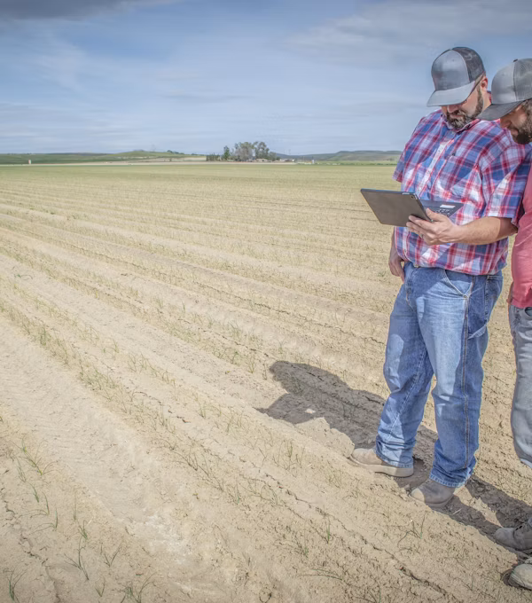 Agronomic planning