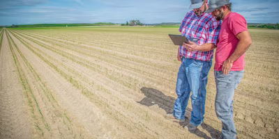 Stick a fork in it; seeding 2020 is done