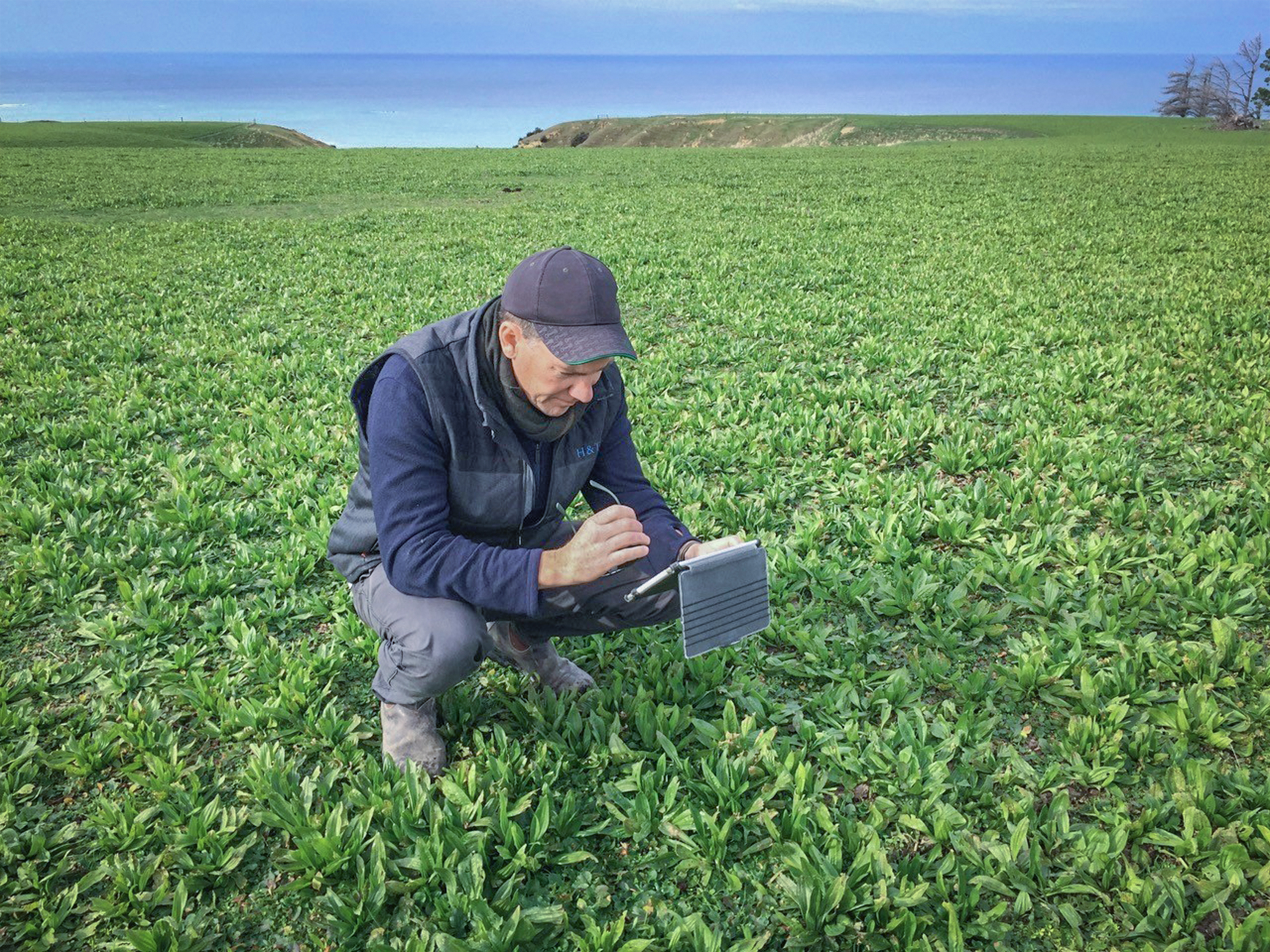 Using data to improve crop production