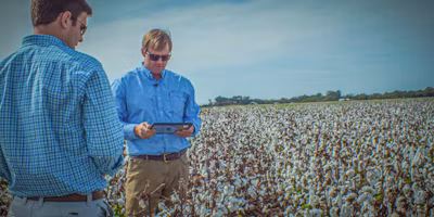 Why every farm can benefit from a CFO mindset