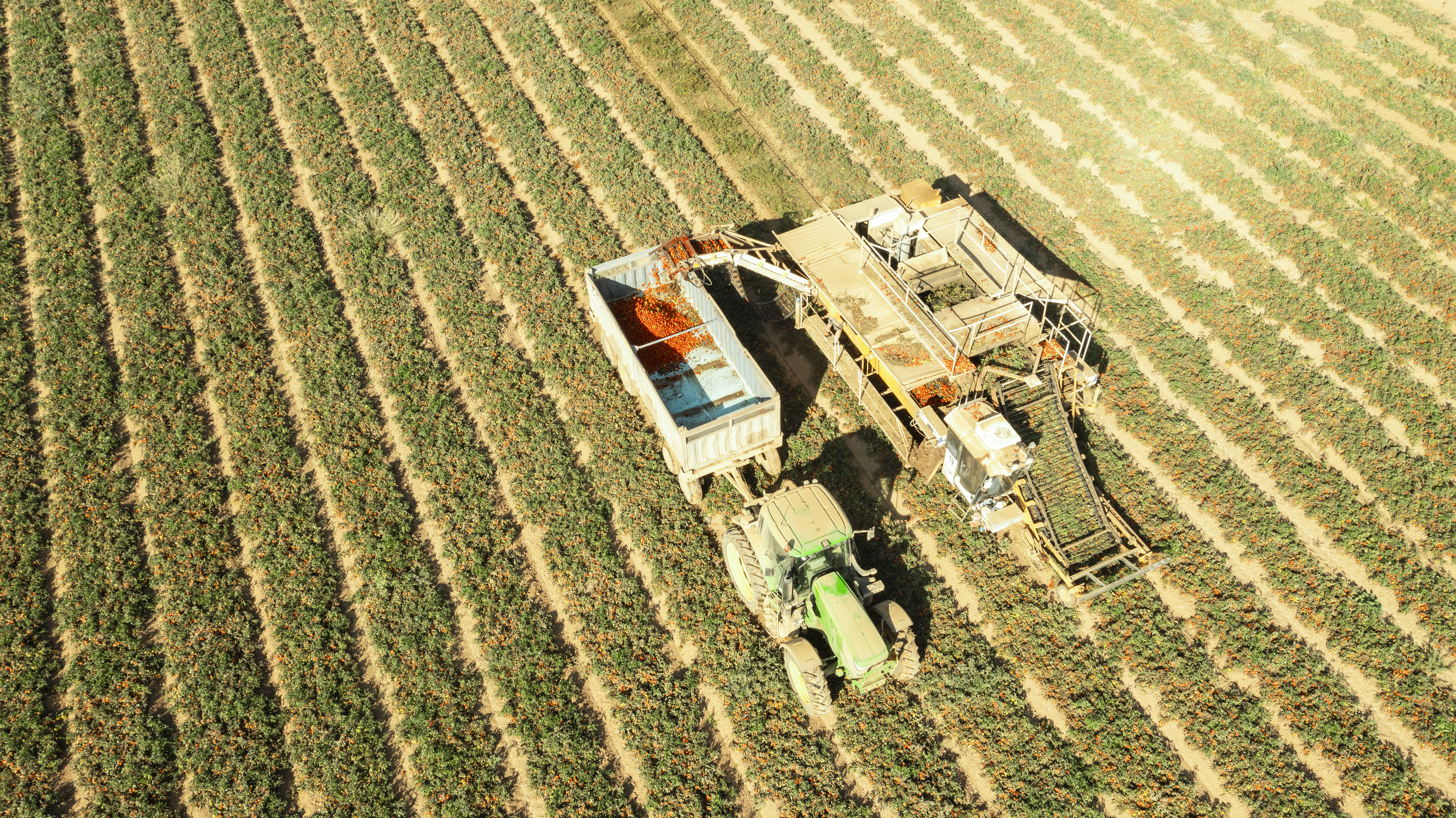 Agworld