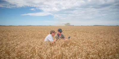 Visibility & Control: Leveraging Your Agronomist's Information in Agworld